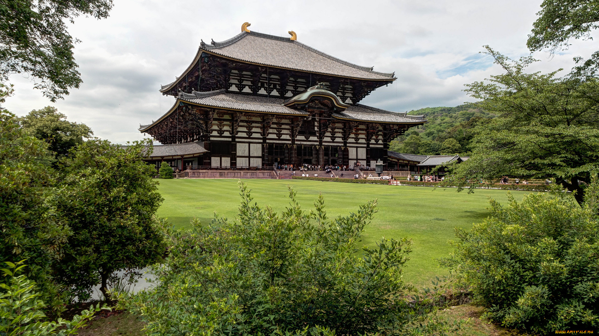 t&, 333, dai-ji temple,  nara,  japan, , -    , , 